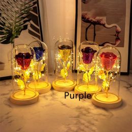 Preserved Fresh Flower Glass Cover Desktop Decoration Small Night Lamp (Color: purple)