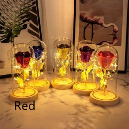 Preserved Fresh Flower Glass Cover Desktop Decoration Small Night Lamp (Color: Red)